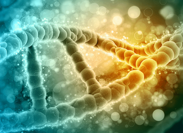 860-explainer-header-iStock-520167210