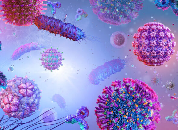 AdobeStock_482407293-768x432