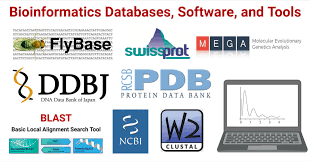 Bioinformatics tools