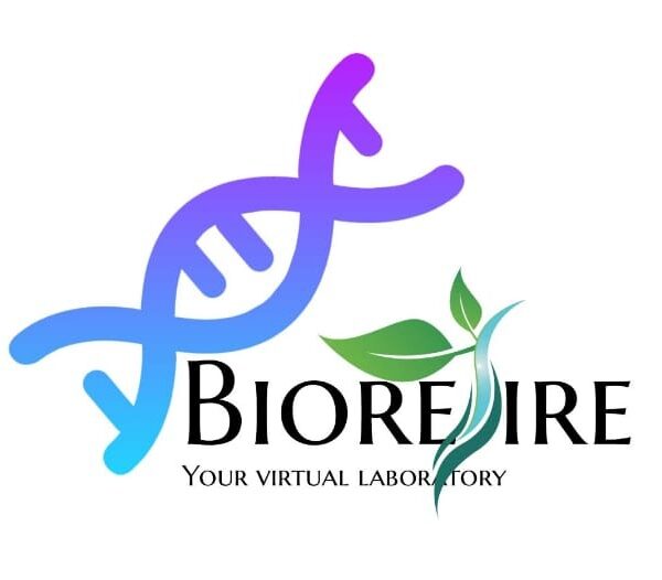 BioResire – Industry focused life sciences courses & internships
