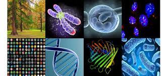 genetics-and-molecular-biology