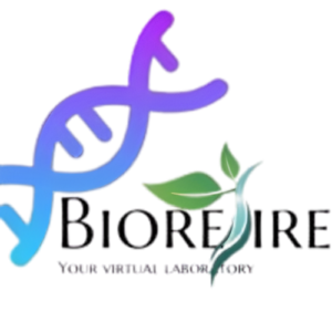 logo bioresire